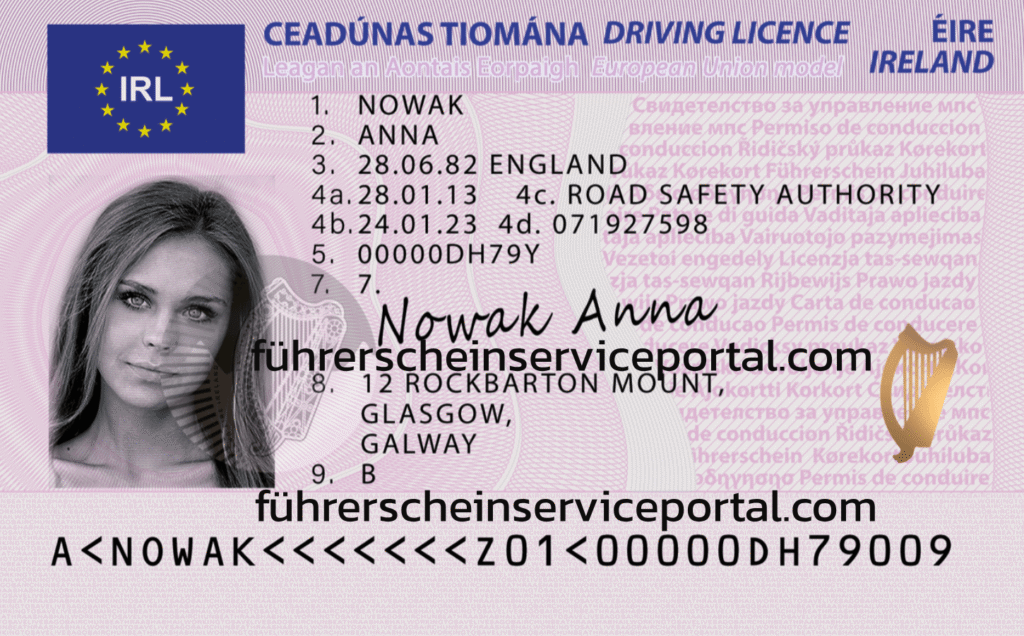Irischen Führerschein online kaufen