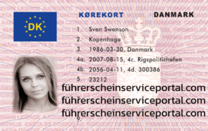 Kaufen Sie den dänischen Führerschein online