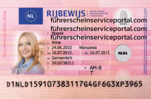 Niederländischen Führerschein online kaufen